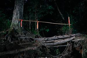 BIB: 
                            <button type="button" onclick="openModal(27327065)" class="btn btn-primary btn-sm float-right btn-popup" data-toggle="modal" data-target=".modal-high-quality">
                        <i class="fas fa-shopping-cart"></i> Add to Cart
                    </button>
                                            <button type="button" onclick="isThisMe(27327065, true)" class="btn btn-success btn-sm float-right btn-popup btn-isme hidden" data-toggle="tooltip" data-placement="bottom" title="นี่คือรูปของคุณใช่ไหม คลิกที่นี่เพื่อเอาเข้าอัลบั้ม">
                        <i class="fas fa-plus"></i> Add to album
                    </button>
                    <button type="button" onclick="isThisMe(27327065, false)" class="btn btn-warning btn-sm float-right btn-popup btn-isnotme hidden">
                        <i class="fas fa-ban"></i> Remove from album
                    </button>